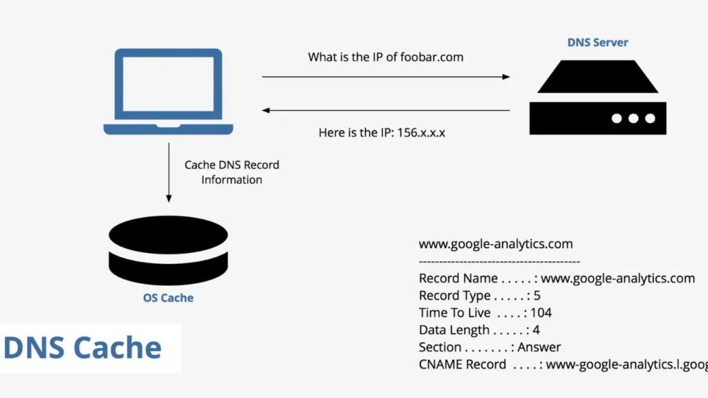 DNS Cache