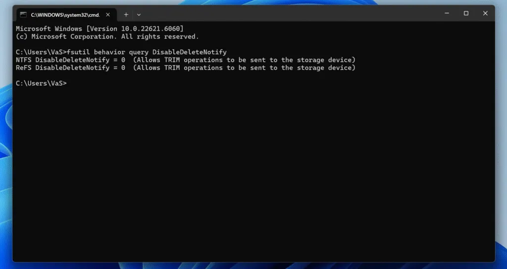 Check if TRIM is enabled