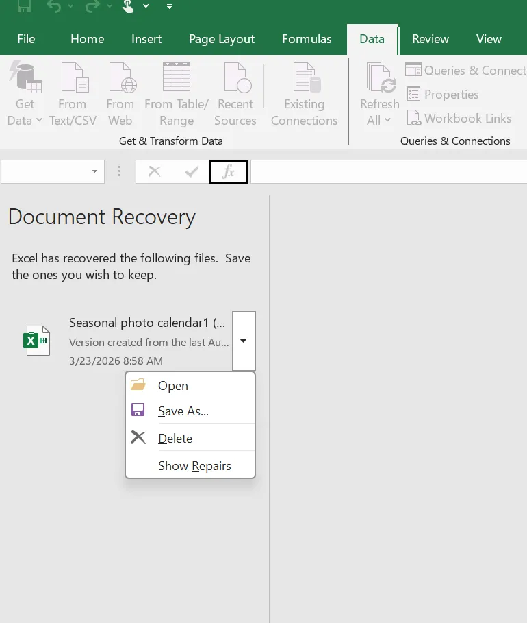 Open Document Recovery Pane in Excel