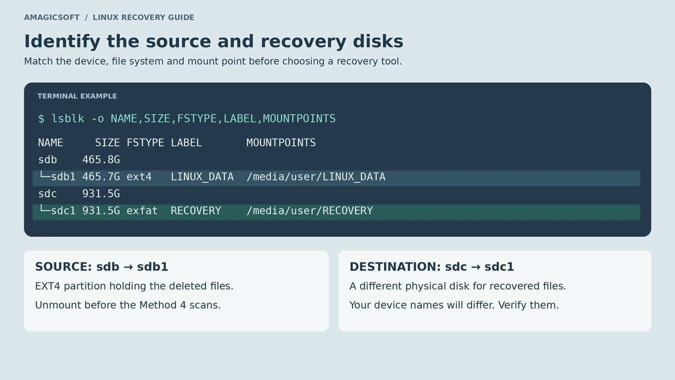 Linux recovery identify disks
