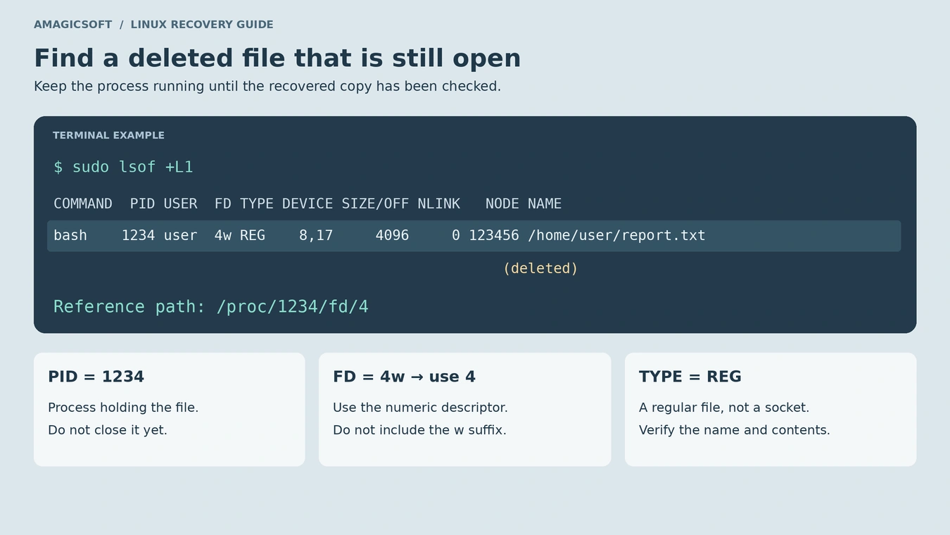 Recover a Deleted File That Is Still Open
