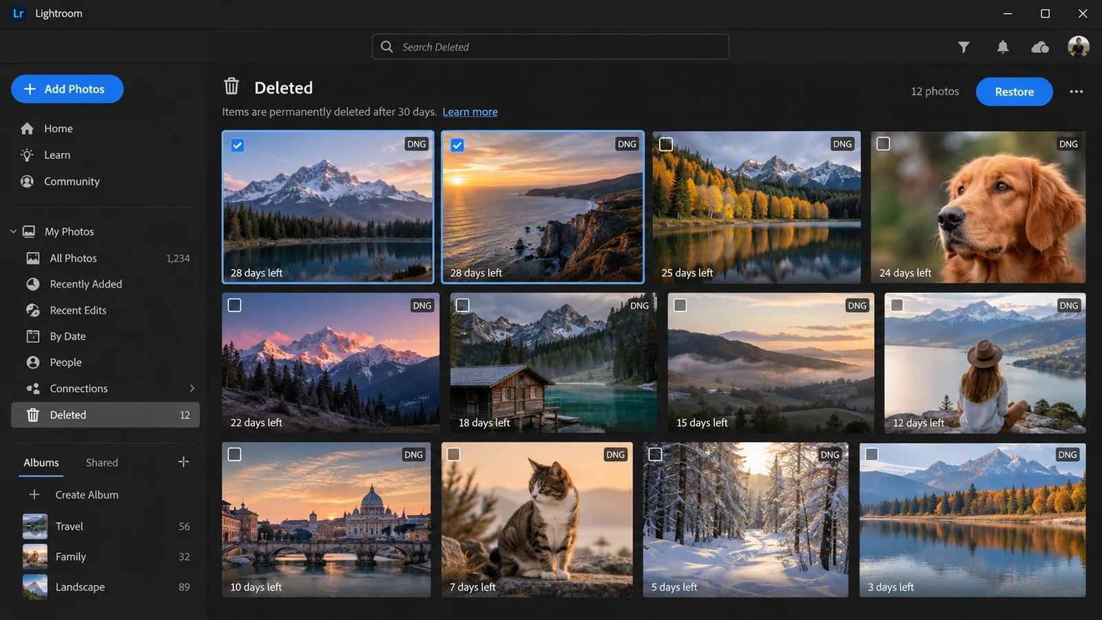 Lightroom-Deleted-album-showing-deleted-photos-and-the-Restore-button